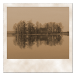 Überfluteter Auwald in der Rückdeichungsfläche Lenzen