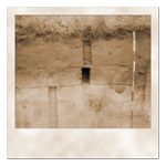 Bodenschurf in der Altmärkischen Wische