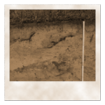 Bodenschurf einer Versickerungsanlage