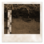 Bodenschurf in Colbitz