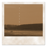 Sedimentschleier auf der Vegetation, Blick zum Höhbeck