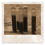 Sedimentkerne aus Elbe-Buhnenfeldern